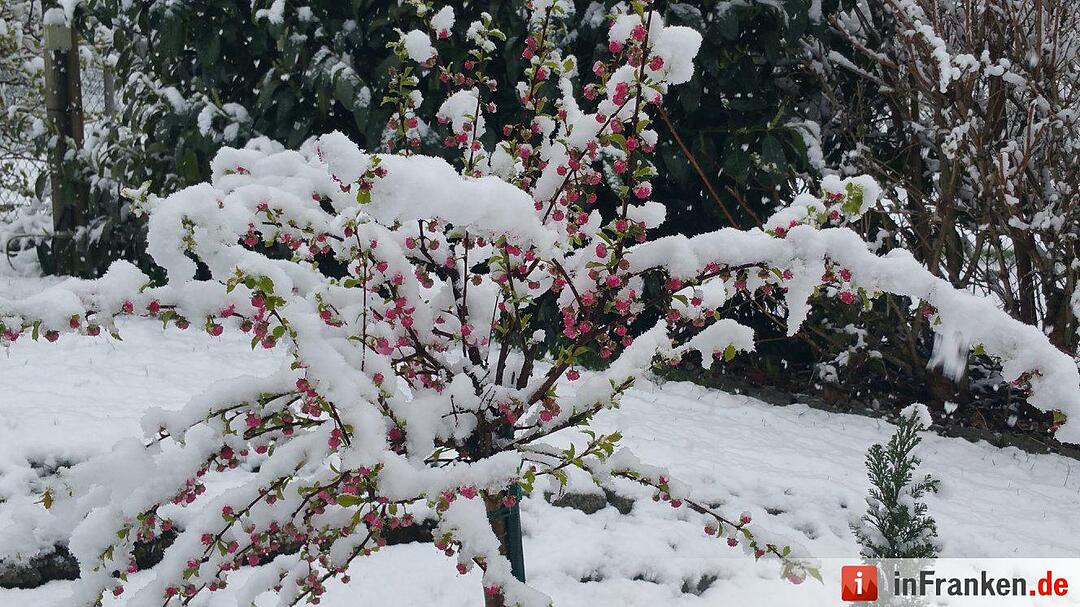 Franken: Ostermontag versinkt im Schnee