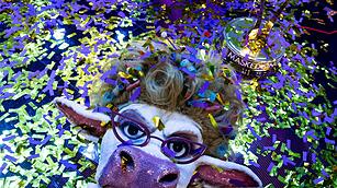 „The Masked Singer“ - Finale