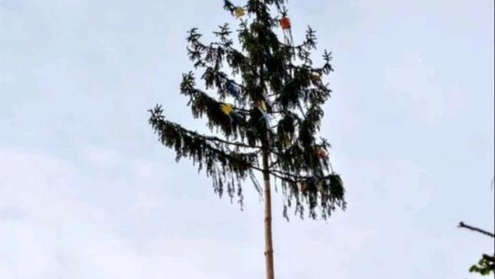 Der Maibaum ragt hoch in den Himmel mit den gemalten Sonnen der Kinder. Foto: Sophia Dorsch