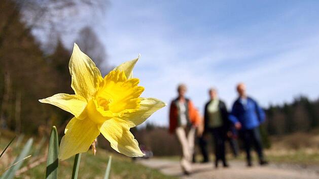 In der kommenden Woche erwarten Wetterexperten Fr&uuml;hlingshafte Temperaturen bis zu 20 Grad in Bayern. Foto: Fredrik von Erichsen/dpa