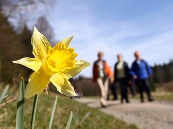 In der kommenden Woche erwarten Wetterexperten Frühlingshafte Temperaturen bis zu 20 Grad in Bayern. Foto: Fredrik von Erichsen/dpa