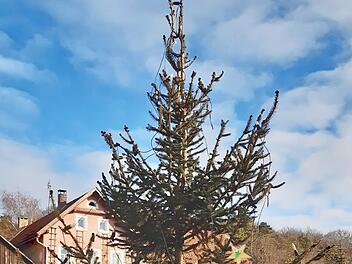 Der mit Sternen geschmückte Weihnachtsbaum in Moggast Foto: Christian Sponsel