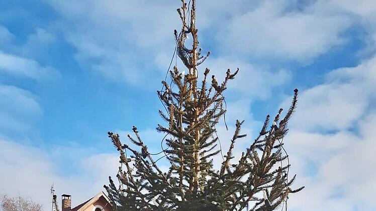 Der mit Sternen geschmückte Weihnachtsbaum in Moggast Foto: Christian Sponsel