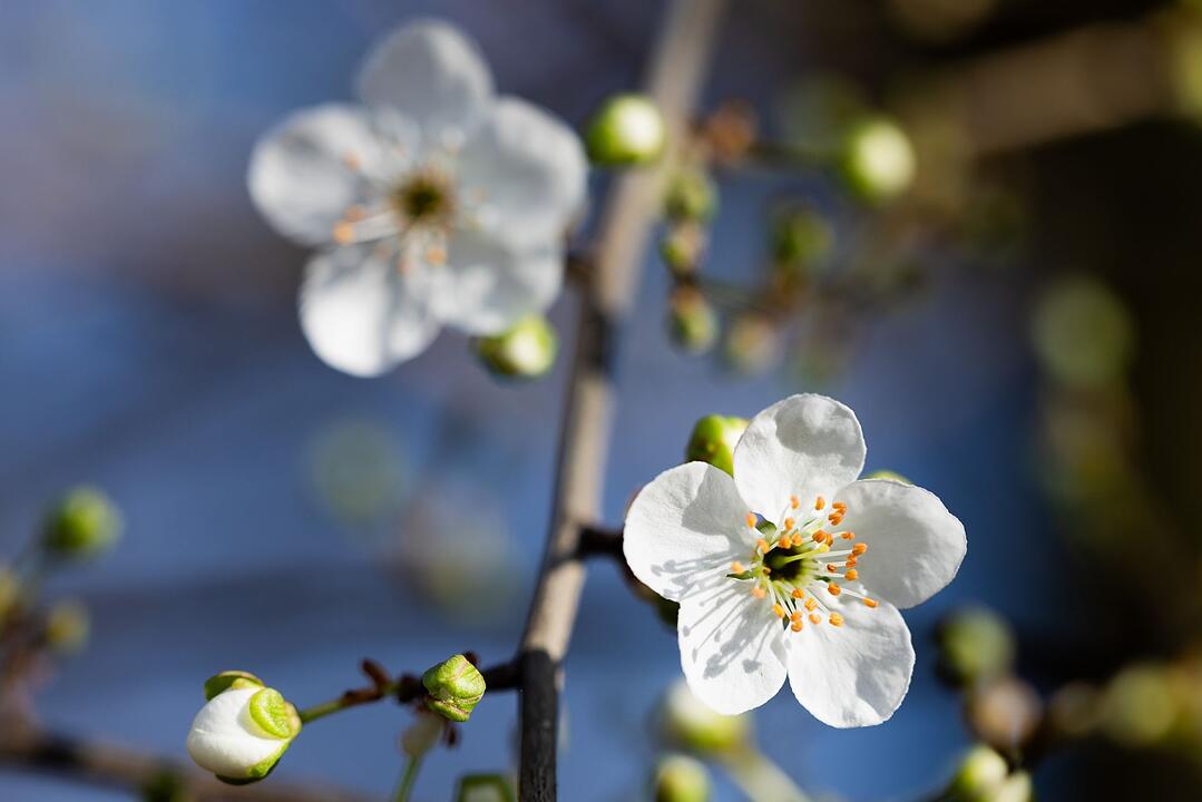 Fr&uuml;hlingshaftes Wetter in Deutschland