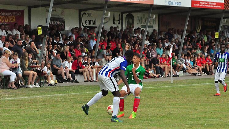 Impressionen vom Rimini-Cup 2017. Foto: Anja Schmitt