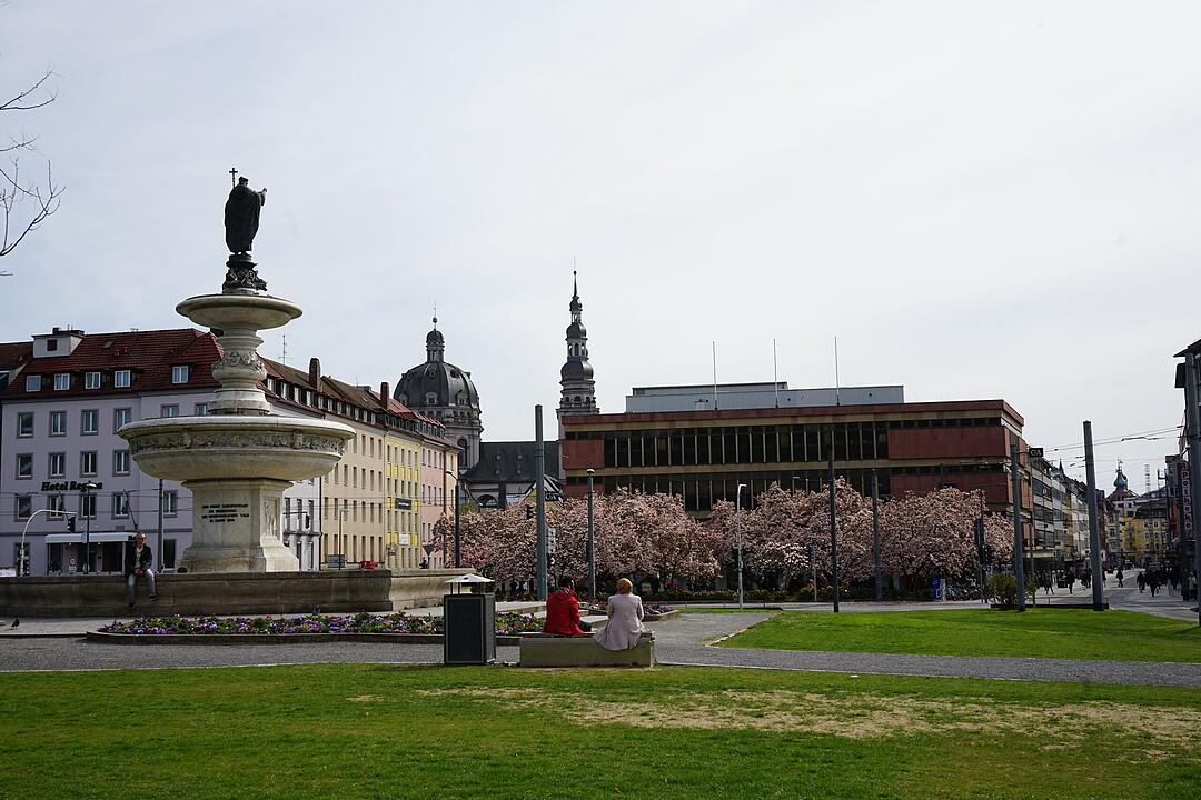 Blühendes Würzburg