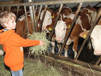 Im Jungtier-Stall dürfen die Kinder den Nachwuchs füttern. Fotos: G. Völk