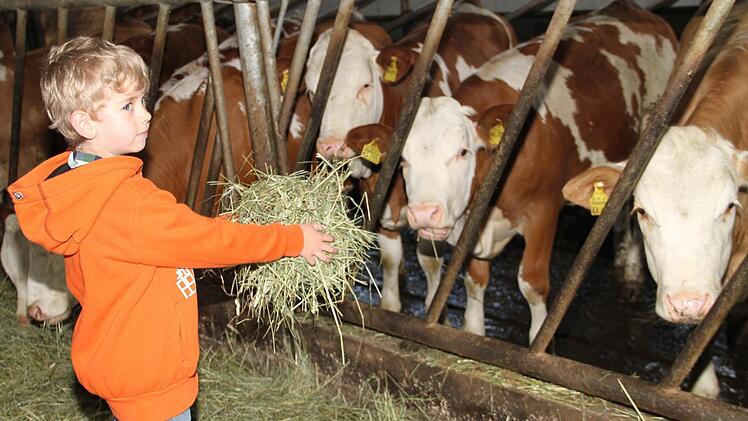 Im Jungtier-Stall dürfen die Kinder den Nachwuchs füttern. Fotos: G. Völk