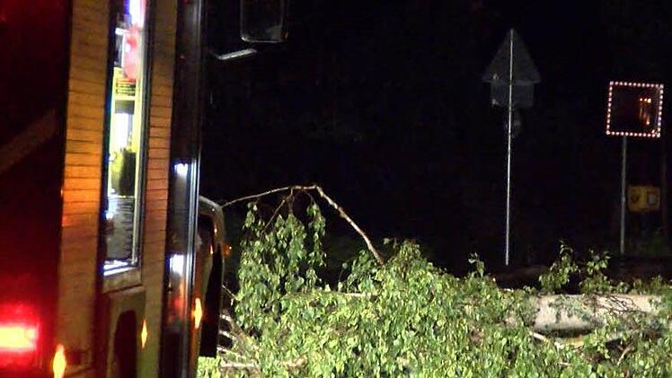 Foto: News5/Grundmann