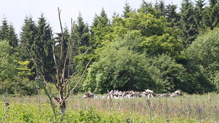 Impressionen: Die Rhöner Landschaft am Würzburger Haus (Schwarze Berge). Foto: Ulrike Müller