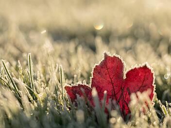 Sonnenschein und Frost