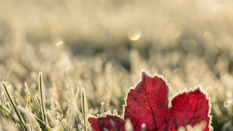 Sonnenschein und Frost