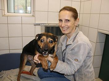 Rusty und Susanne Schilling w&uuml;nschen sich ein Silvester ohne B&ouml;ller-Krach.Foto: Stefanie Gleixner