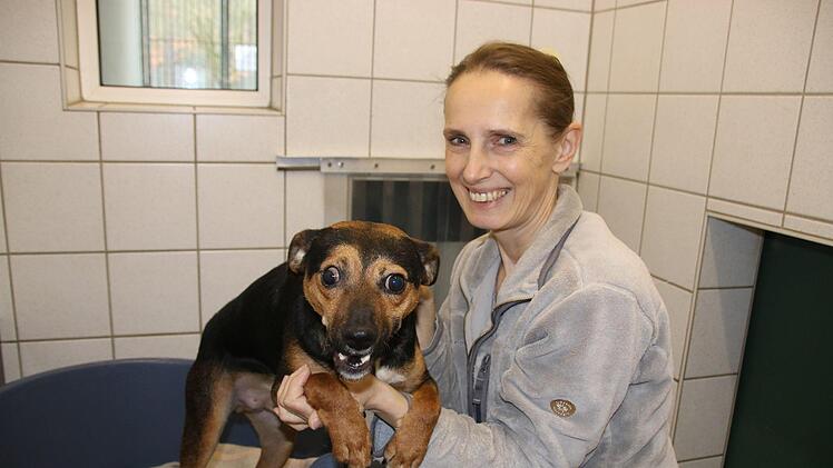 Rusty und Susanne Schilling w&uuml;nschen sich ein Silvester ohne B&ouml;ller-Krach.Foto: Stefanie Gleixner