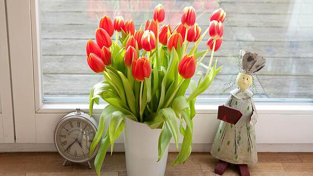 Symbolbild:Andrea Warnecke/dpa