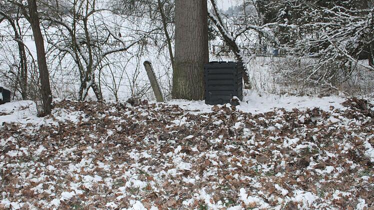 Rund um den Kompost der Familie Schmidt haben die Schweine alles durchwühlt, die Löcher im Erdboden sind bis zu 30 Zentimeter tief.