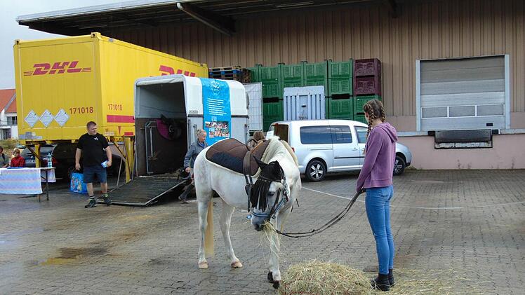 Foto: Petra Malbrich