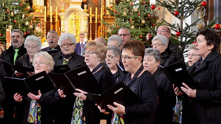 Die Sängervereinigung Burkardroth organisiert auch in diesem Jahr wieder ein Weihnachtskonzert. Bei der Jahreshauptversammlung wurde bedauert, dass der Kindersingkreis  Ende 2017 aufgelöst werden musste. Archiv/Kathrin Kupka-Hahn
