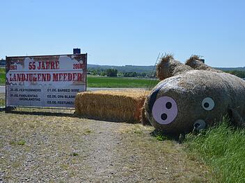 Die Strohsau, mit der die Landjugend auf ihre Jubiläumsfeier aufmerksam machen will, liegt neben ihrem Sockel.Rainer Lutz