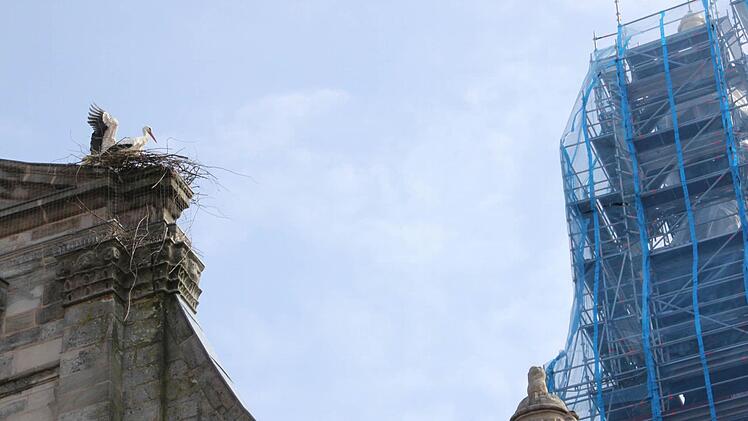 Der neue Horst im Schatten des Kirchturms