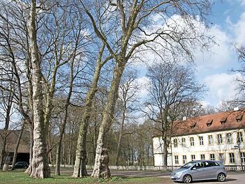 Die Gemeinde Wonfurt möchte mit dem Leader-Projekt "Stein- und Wasserpfad Wonfurt" den Ort Wonfurt touristisch aufwerten und die Naherholung verbessern. Unter anderem soll der Von-Seckendorff-Platz vor dem Schloss neu gestaltet werden.  Fotos: Ulrike Langer