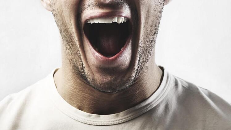 Pöbeleien, Neonazi-Lieder und Volksverhetzung: Das Amtsgericht Bamberg verurteilte jetzt einen 31-jährigen Soldaten zu einer Geldstrafe. Symbolbild: olly/adobestock.com