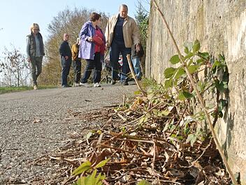 Da sprießt noch Unkraut. Zum Beispiel an der Mauer des Finanzamt-Anwesens am Weg zu den Grabengärten. Vorsitzender Günter Schneider und Christa Schlegelmilch (von rechts) besprachen das Vorgehen im Blick auf den "Tag der offenen Gartentüre" in Zeil. Fotos: Brigitte Krause