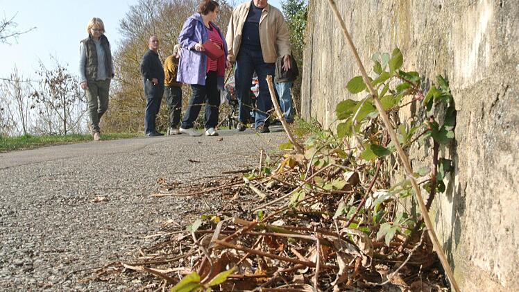 Da sprießt noch Unkraut. Zum Beispiel an der Mauer des Finanzamt-Anwesens am Weg zu den Grabengärten. Vorsitzender Günter Schneider und Christa Schlegelmilch (von rechts) besprachen das Vorgehen im Blick auf den "Tag der offenen Gartentüre" in Zeil. Fotos: Brigitte Krause