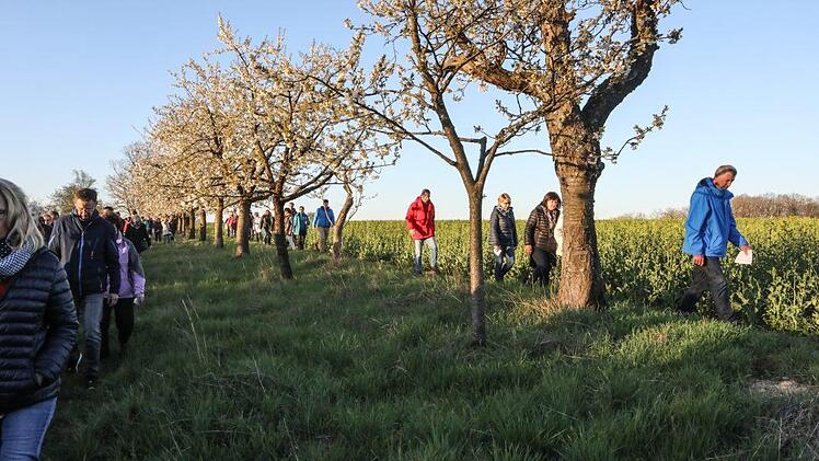 Der Bittgang in BambergBarbara Herbst