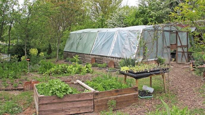 Manche mögen's warm: Im Gewächshaus werden zum Beispiel Tomaten und Chilis herangezogen.