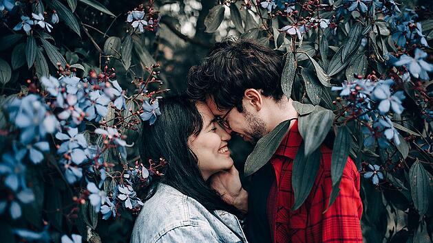 Was bedeutet uns Liebe? - Sprüche, Fakten und mehr