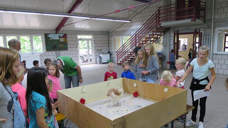 Eindrücke vom Ferienprogramm der Nüdlinger Kleintierzüchter.   Foto: Vanessa Gessner