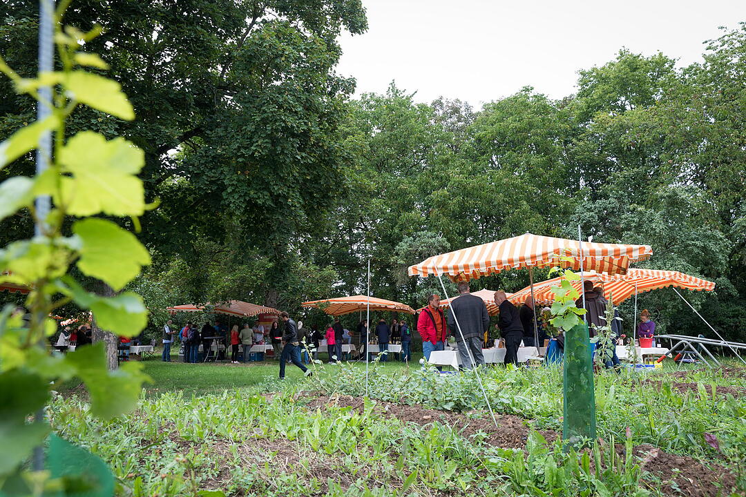 &Ouml;kowein-Pr&auml;sentation