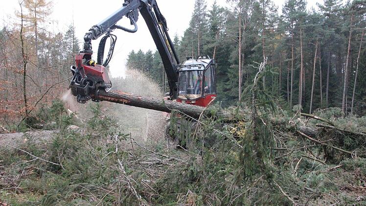 Mit dem Harvester werden die Bäume gefällt, entastet und abgelängt. Foto: Friedwald Schedel