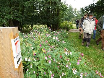 Der Verein "Tourismus Thulbatal" will auch weiterhin durch Wanderwege und Natur-Erlebnis Gäste in die Region holen. Der mit dem roten "T" markierte Rundwanderweg "Thulbataler" ist eines der Aushängeschilder. Foto: Archiv/Arkadius Guzy