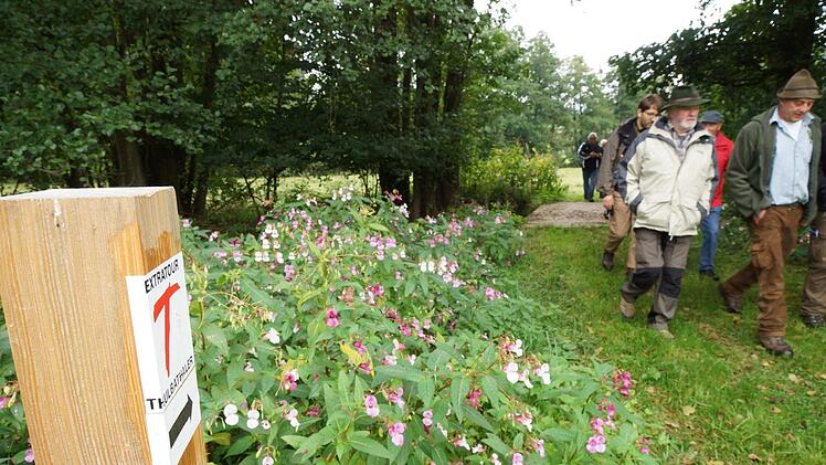Der Verein "Tourismus Thulbatal" will auch weiterhin durch Wanderwege und Natur-Erlebnis Gäste in die Region holen. Der mit dem roten "T" markierte Rundwanderweg "Thulbataler" ist eines der Aushängeschilder. Foto: Archiv/Arkadius Guzy