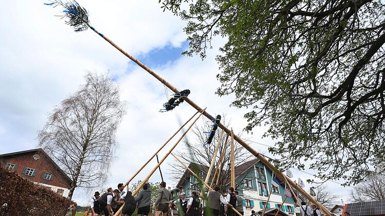 Maibaum
