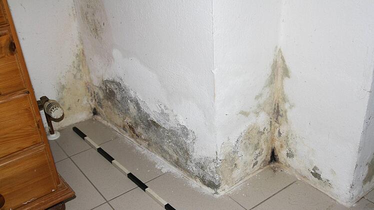 Feuchtigkeitsschäden in einem Wohnraum eines Privatgebäudes in der Abt-Mösinger-Straße