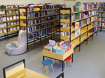 Leiterin Ina Gleich berichtete dem Stadtrat Wallenfels über die Bücherei.