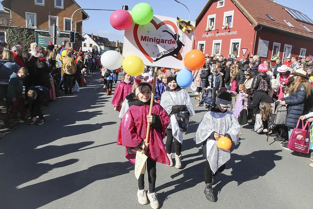 Fasching 2025 in Stadtsteinach!