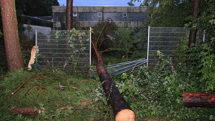 Ein Unwetter tobte am 22. Juli über Bamberg und den Landkreis Foto: Fedinand Merzbach