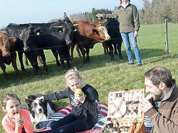 Picknick auf der Weide des Hader-Hofs bei Nurn