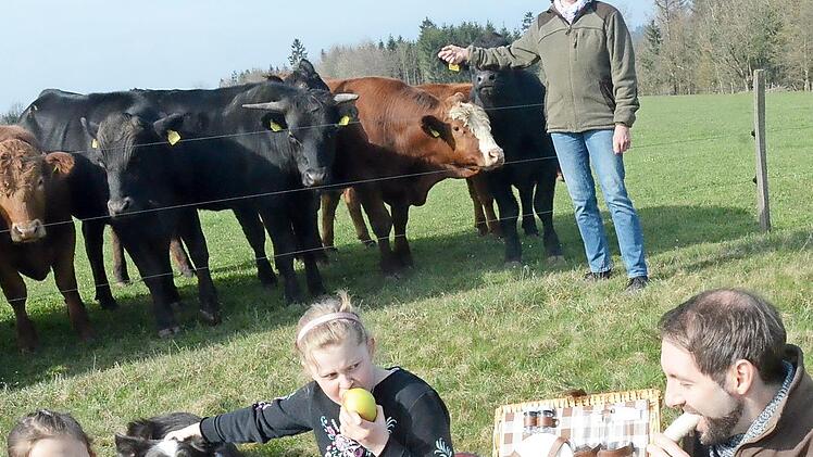 Picknick auf der Weide des Hader-Hofs bei Nurn
