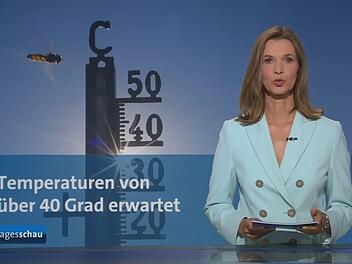 "Tagesschau"-Sprecherin Julia Niharika-Sen bei der 20-Uhr-Ausgabe: Klimathemen werden im &ouml;ffentlich-rechtlichen Fernsehen immer seltener aufgegriffen.