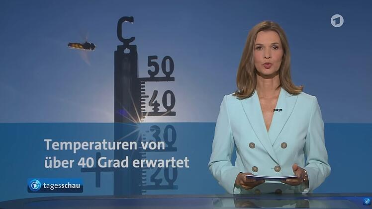 "Tagesschau"-Sprecherin Julia Niharika-Sen bei der 20-Uhr-Ausgabe: Klimathemen werden im &ouml;ffentlich-rechtlichen Fernsehen immer seltener aufgegriffen.