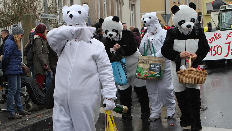 Auch diese Eis- und Braunbären hatten sich nach Ebern verlaufen