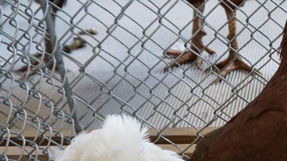 Foto: Richard Sänger