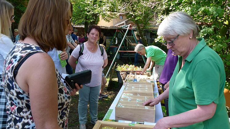 Ulrike Aas, Vorsitzende des Vereins Bamberger Sortengarten, erklärt Interessierten die verschiedenen lokalen Gemüsesamen.