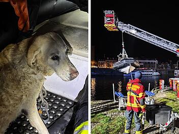 "Hilflos im Main treibender Hund": N&auml;chtlicher Einsatz fordert fr&auml;nkische Feuerwehr