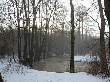 Trübe rauscht die Itz dem Froschgrundsee entgegen - doch gerade dadurch friert der Fluss nicht zu und bietet für einige Arten Überlebenschancen. Foto: Rainer Lutz